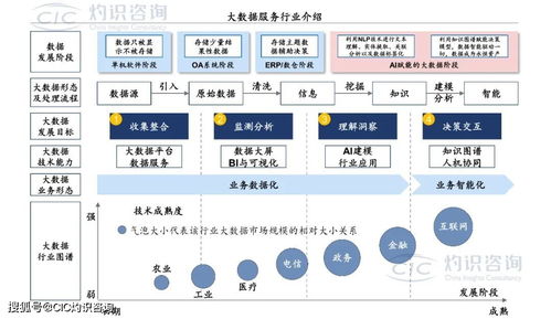 《中國商業(yè)大數(shù)據(jù)服務(wù)行業(yè)藍皮書》發(fā)布 洞見未來，數(shù)據(jù)賦能社會經(jīng)濟咨詢新篇章